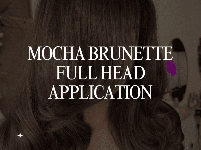 Mocha Brunette Full Head Application